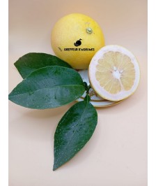 Enzo Grapefruit – Sweet,...