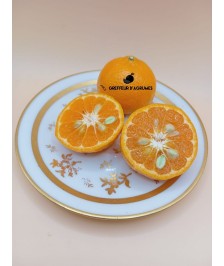 Mandarine Setubalense
