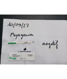 Satsuma miyagawa