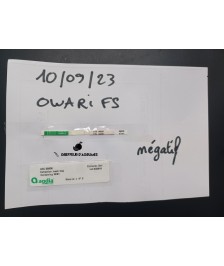 Satsuma Owari FS