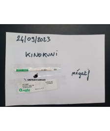 Mandarine kishu Kino Kuni