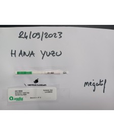 Hana Yuzu