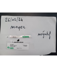 Meyer-Zitrone – Saure Zitrus / Zitronentyp