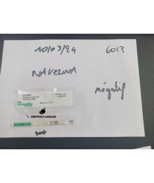 Orange Navelina – Süßorange