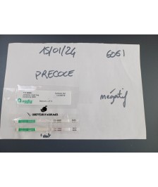 Clémentine précoce early