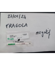 Oranger fragola