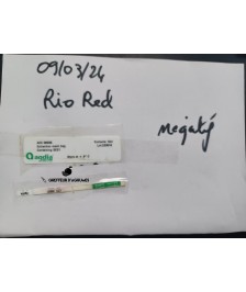 Pomelo Rio red