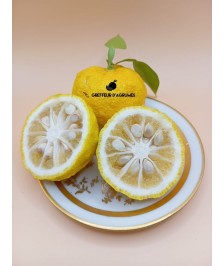 Yuzu 3