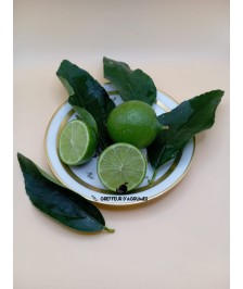 Lime tahiti