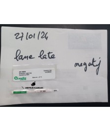Lane Late Orange – Late Navel orange