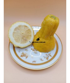 Citronnier Lunario