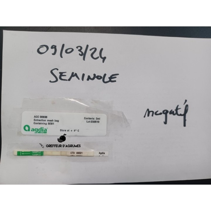 Seminole – Tangelo | Greffeur d’agrumes