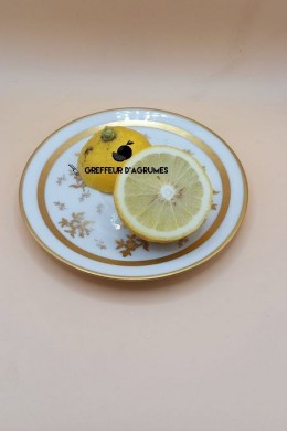 Bergamota Fantastico – Bergamota | Greffeur d'agrumes