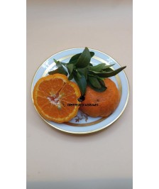 Mandarine Ponkan