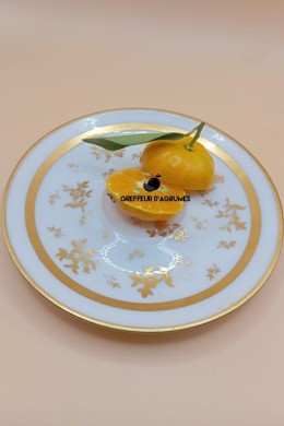 Shiva Mikan Koji – Mandarine japonaise ancienne | Greffeur d'agrumes