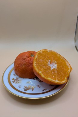 Satsuma Dobashi Beni – Mandarina satsuma