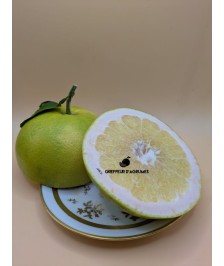 Welker Grapefruit – Grapefruit
