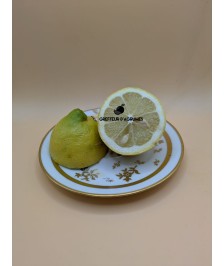 Zitrone Eureka – Zitronenbaum