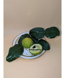 Combawa – Agrume aromatique