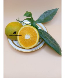 Orange Newhall – Frühe...