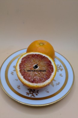 Arancio sanguigno Moro – Arancia rossa | Greffeur d'agrumes