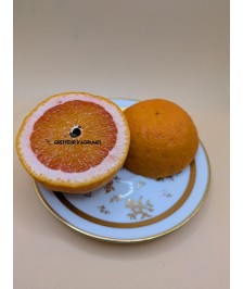 Oranger vanille sanguine