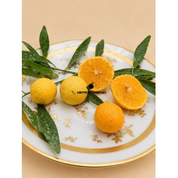 Lima caviar y cítricos australianos | Greffeur d'agrumes