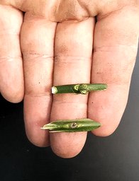 Zwei geschnittene Chips in der Hand