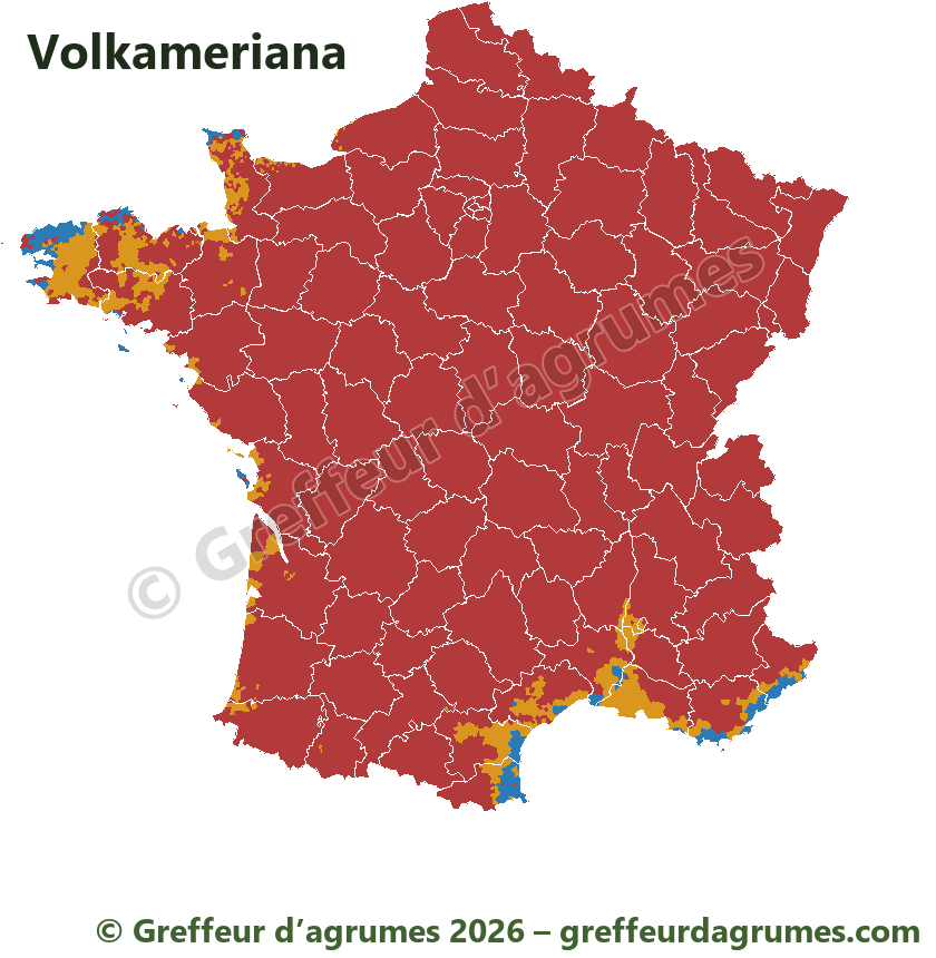 Mapa de Francia del portainjerto Volkameriana, municipio por municipio: en azul aconsejado, en ámbar posible con precauciones, en rojo desaconsejado