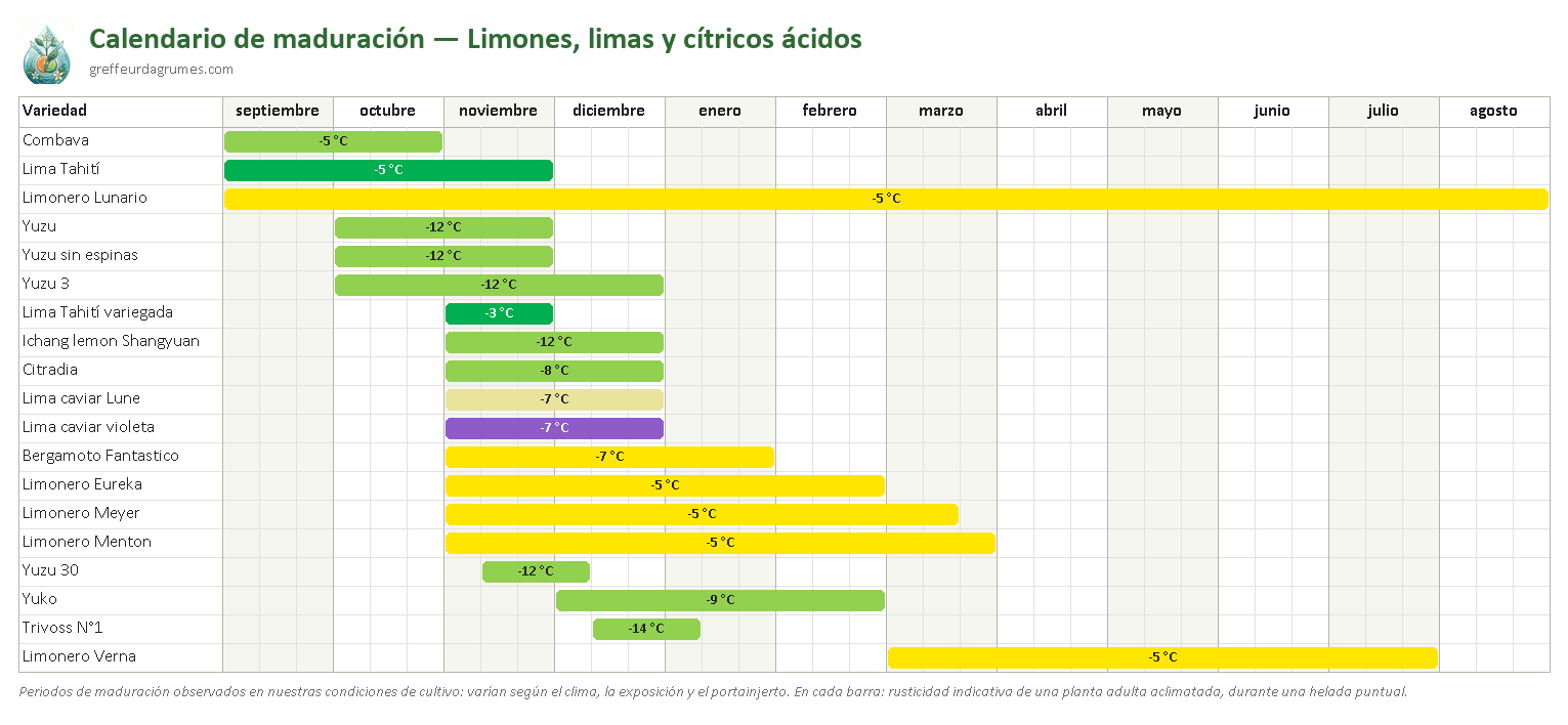 Calendario de maduración: limones, limas y cítricos ácidos