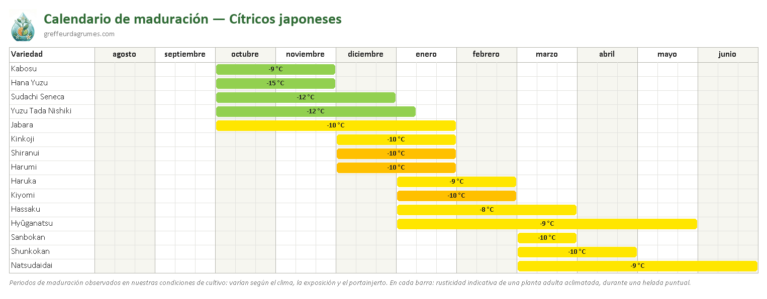 Calendario de maduración: cítricos japoneses