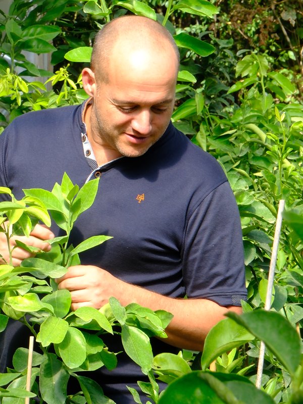 Laurent, Greffeur d'agrumes citrus nursery