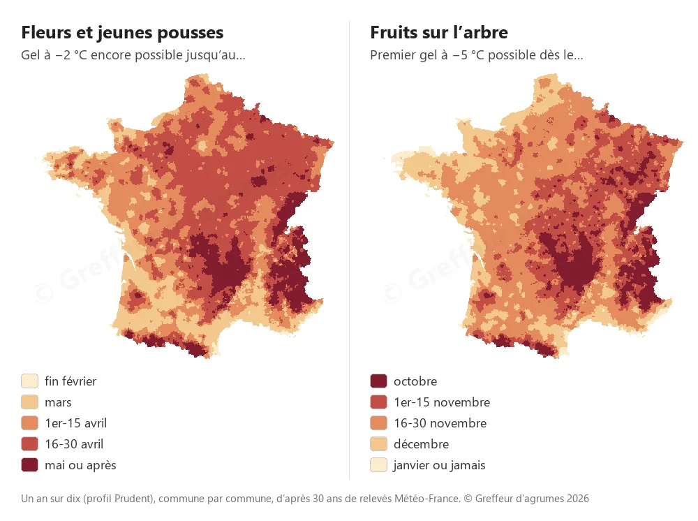 Due mappe della Francia, comune per comune, un anno su dieci: a sinistra, la data fino alla quale una gelata a −2 °C resta possibile in primavera (da fine febbraio su una parte del litorale a maggio e oltre in montagna); a destra, la data a partire dalla quale una gelata a −5 °C è possibile in autunno (da ottobre in montagna a gennaio o mai su una parte del litorale)