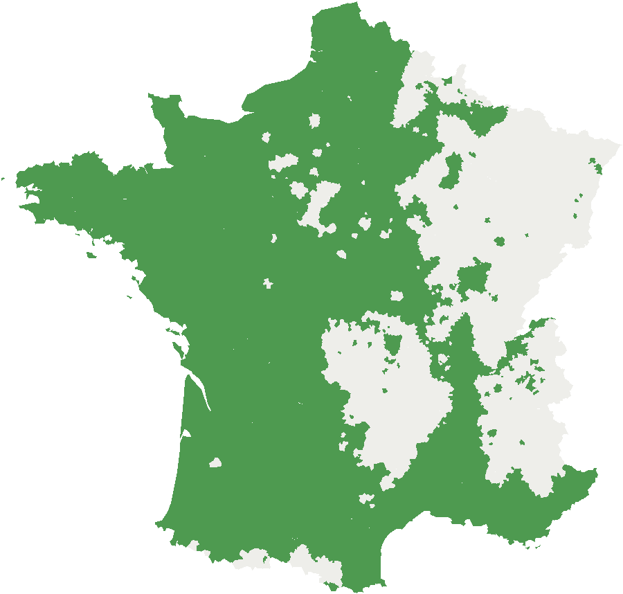 Citrangeremo : où planter cette variété en pleine terre ?