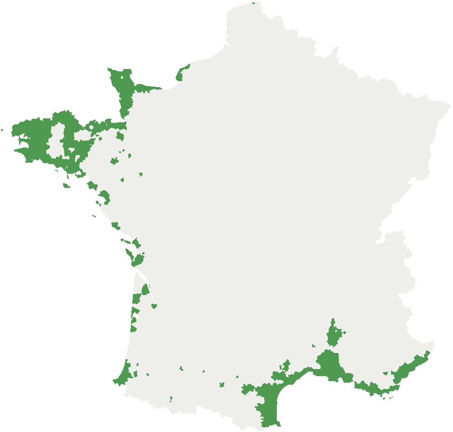 Clémentine Fina : où planter cette variété en pleine terre ?